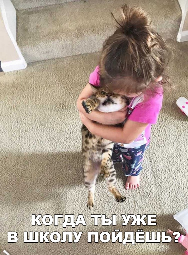 Прикольные картинки абавсём