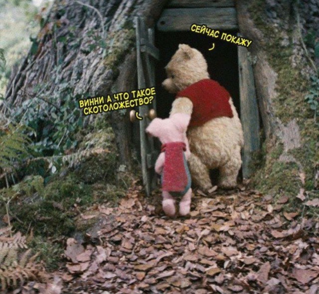Нестандартный юмор
