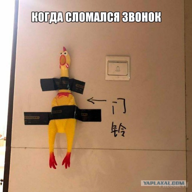 Подборка интересных и веселых картинок 24.09.18