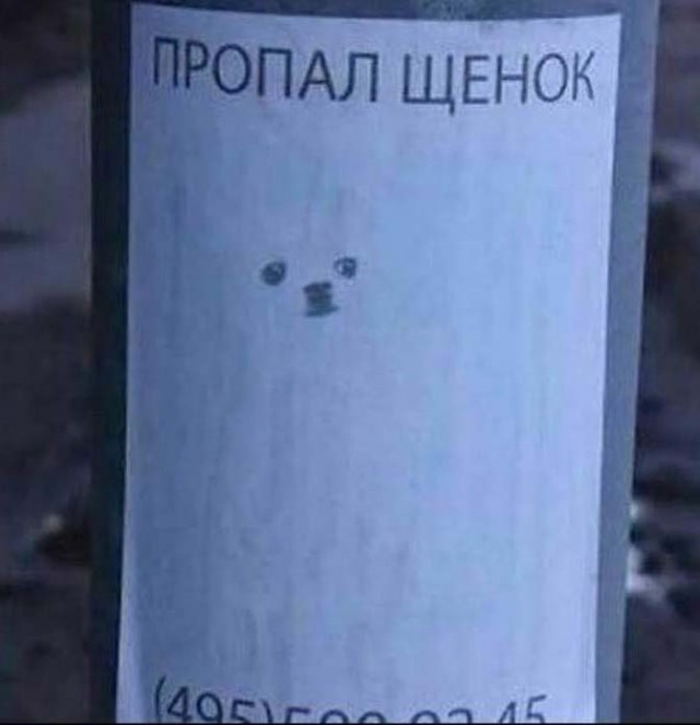 Немного веселых картинок из этих наших интернетов