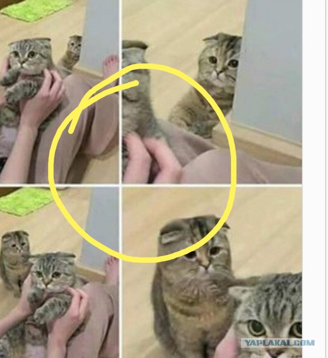 Нестандартный юмор