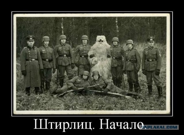Человек, который живет в лесу и делает сайты.
