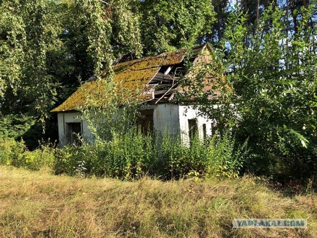 Как я опять съездил на Западную Украину (август 2019)