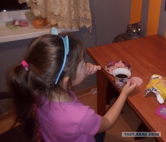 Что делать с котом?