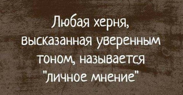 Мишустин выступил против национализации и прогрессивной шкалы НДФЛ