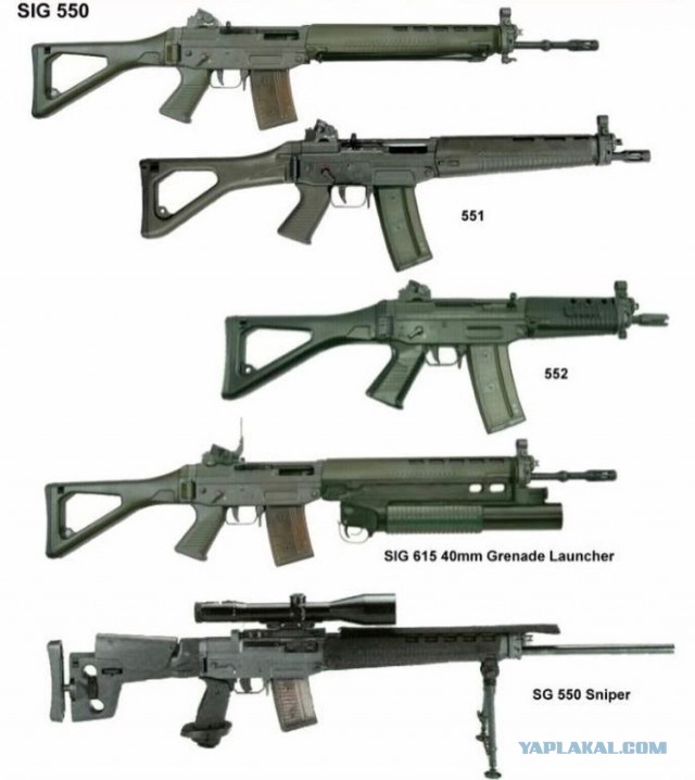 SIG 550. Винтовка «на одном гвозде»