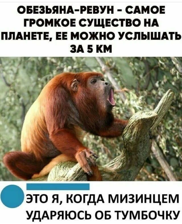 Чуток картинок 10.06.20