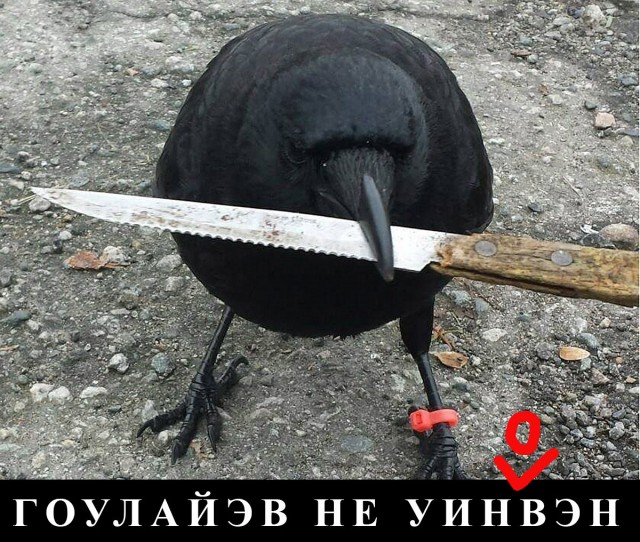 Стрелок из Ингушетии оказался племянником бывшего министра республики