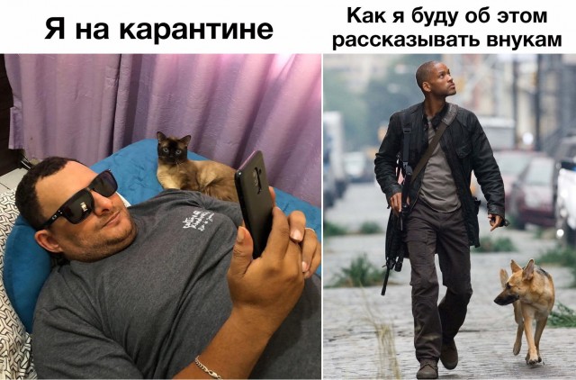 Юмор в картинках