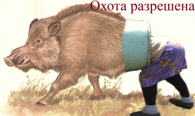 Фотожаба: Бабушкина бочка
