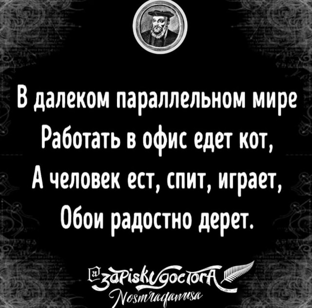 Немного картинок для настроения 20.08.20