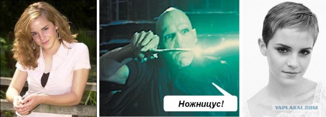 Ярость Волан-де-Морта