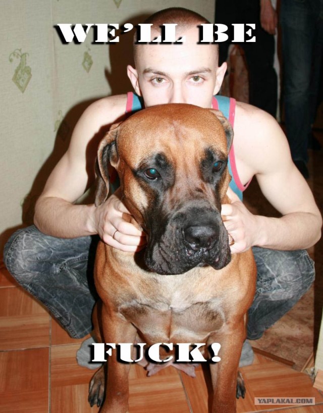 Фотожаба: Игра слов