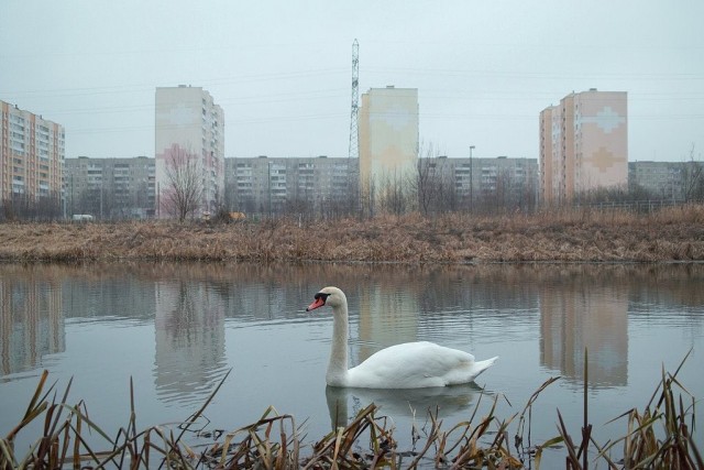 Жизнь городских окраин
