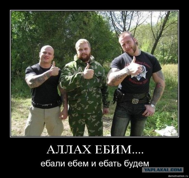 Быдло увидело ДТП