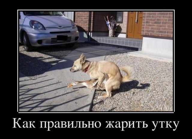 Бредзона 10.03.21