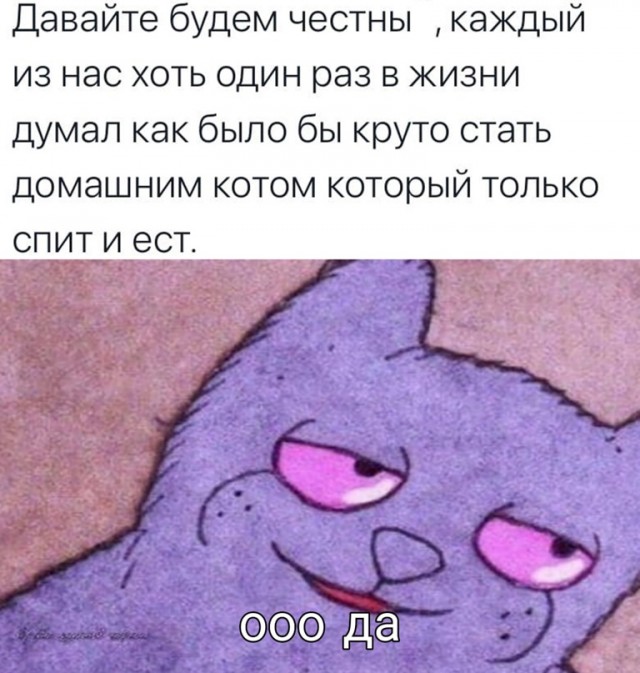 Весёлый полтишок 18.03