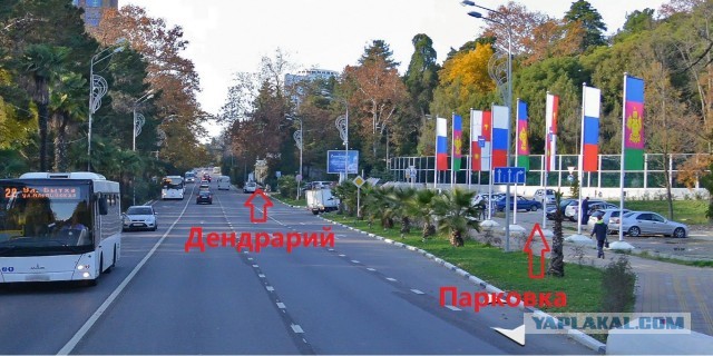 Моя поездка в Сочи. Июнь 2021
