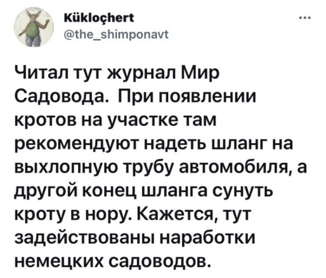Весёлый полтишок 5.07