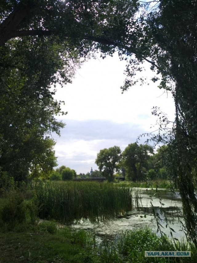 Моя мобильная фотография