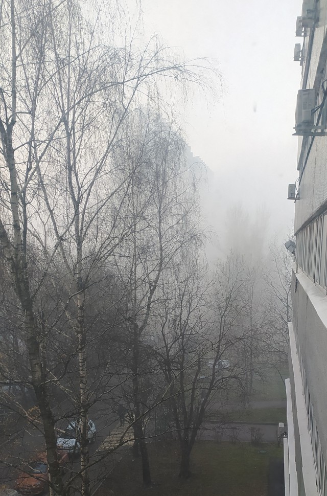 Туман в Москве