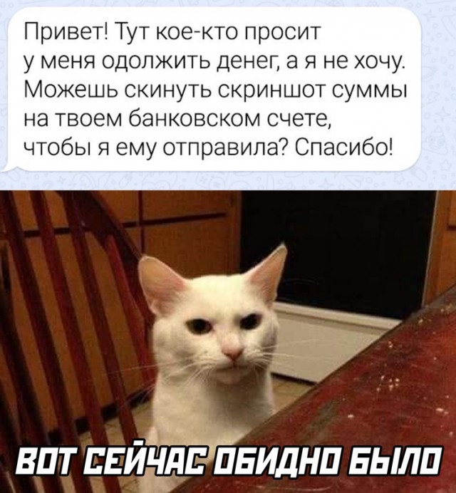 Весёлый полтишок 23.11