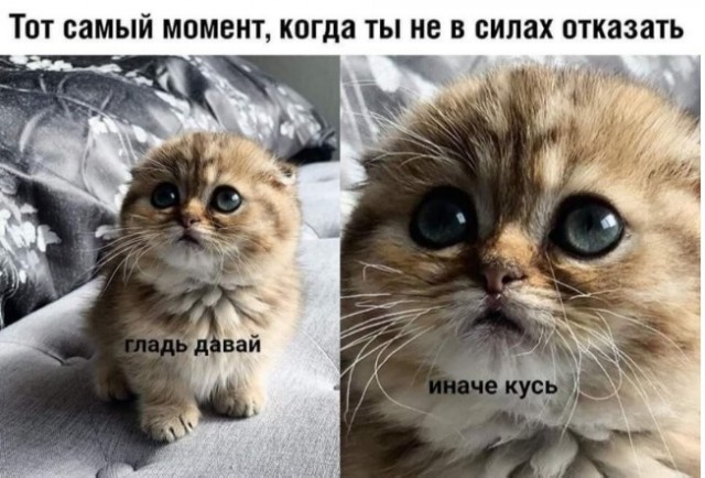 Так себе картинки 28.11.21