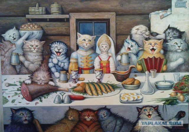 Котовторник 25.01.22