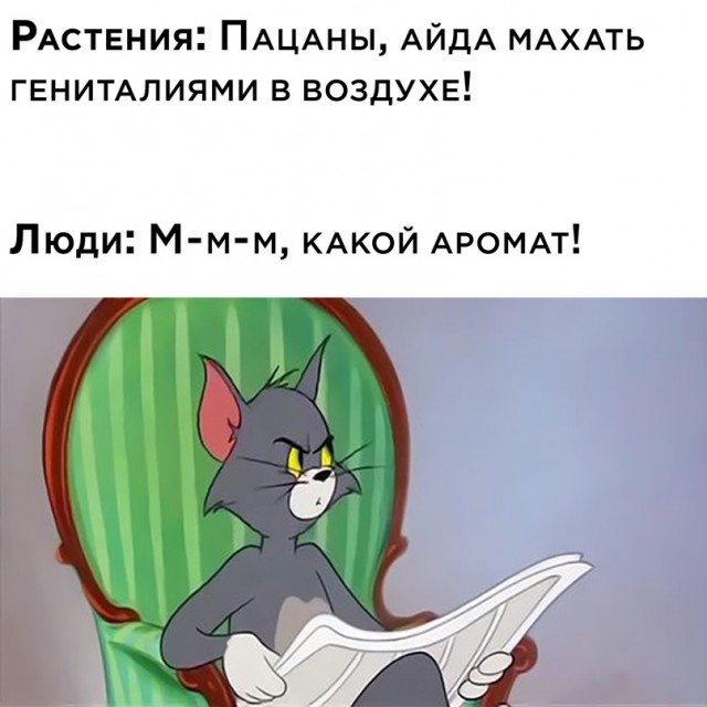 Весёлый полтишок 28.01