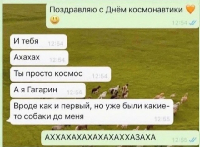 Очередной весёлый полтишок