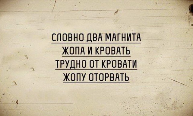 50 оттенков серого. Vol.8 Или самосвал баянов