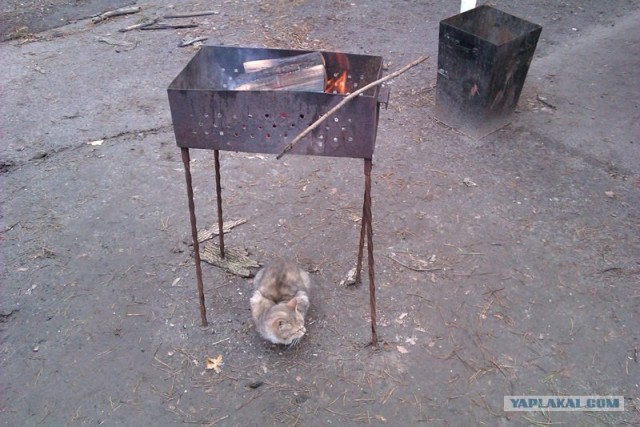 Первая вылазка 1 Апреля