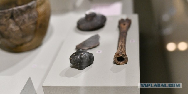 Поселение Аркаим на Южном Урале. История обнаружения ровесника Стоунхенджа и египетских пирамид