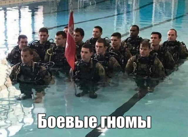 50 оттенков серого или самосвал баянов.  Vol.20. 50 штук.