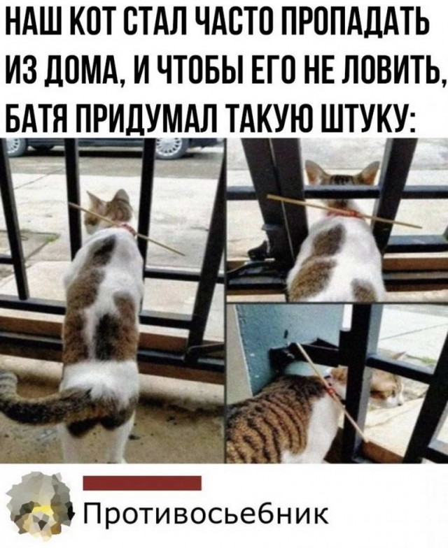 Немного картинок для настроения - 105