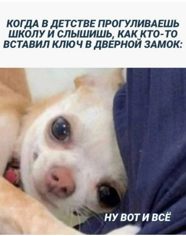 Картинки и мемы для настроения - 107