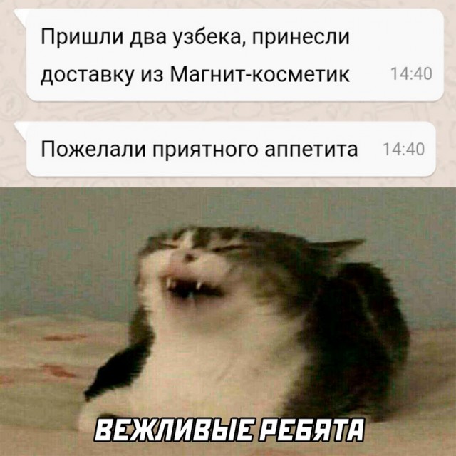 Немного картинок для настроения - 117