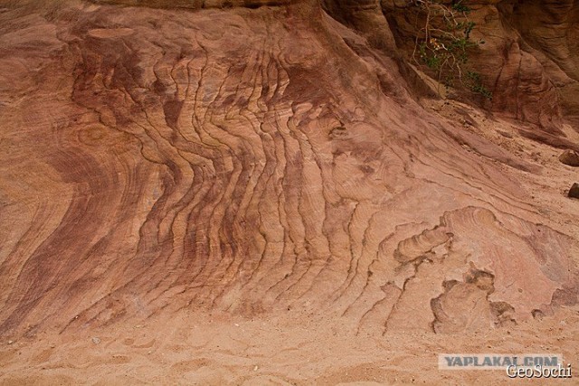 Синайские приключения. Шарм-эш-Шейх и окресности