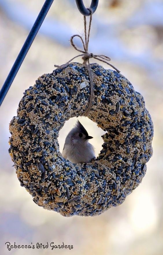 А я птиц так кормлю