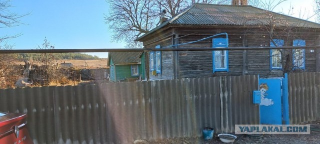 Немецкая государственность в СССР: АССР немцев Поволжья