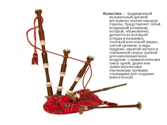 Интервью девушки с двумя вагинами