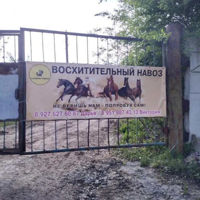 Картинки и мемы для настроения - 181