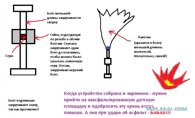 Что рекомендуют восьмиклашкам на лето⁠⁠