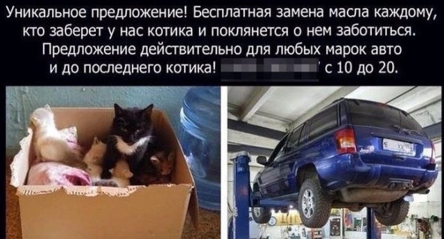 Скупка краденого из сети 15-06-2023