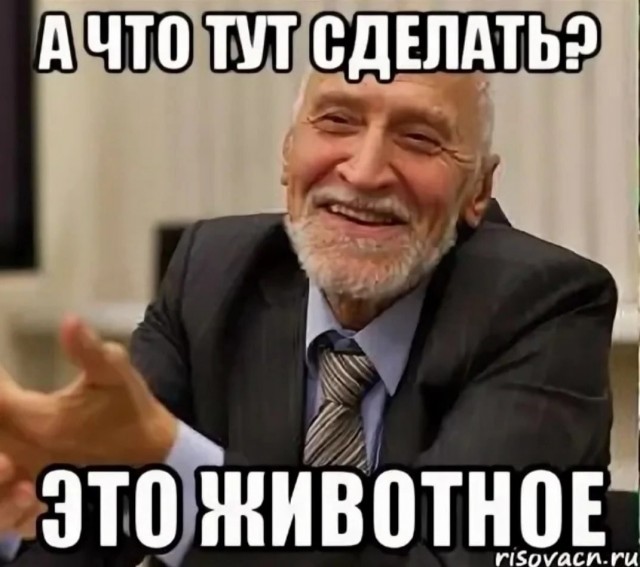 Животные