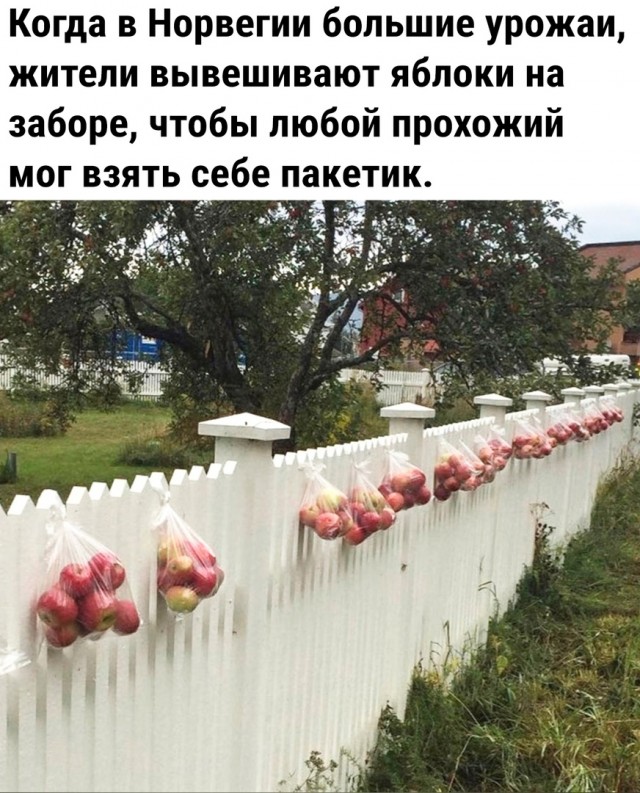 Так себе картинки 16.07.23