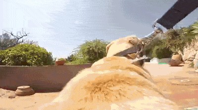 А теперь купаться