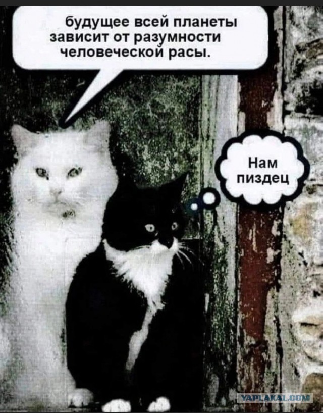 Самое время этим ребятам появится