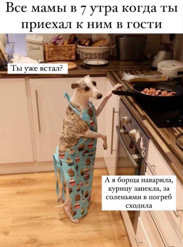 40 пятничных картинок 29.12.2023