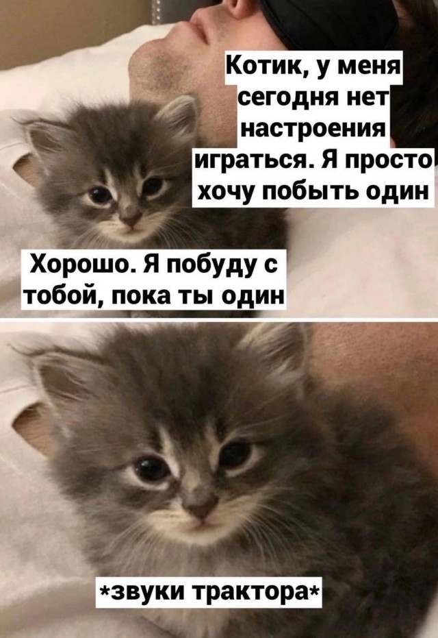 Обрёл хозяина